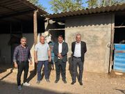 توسعه و رونق ورزش سوارکاری در بویین زهرا پیگیری می شود