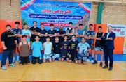 درخشش رزمی‌کاران فارس در مسابقات کشوری توان