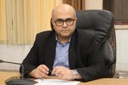 قزوین با گردش مالی بیش از ۳ همت، قطب تولید و فرآوری زیتون کشور است
