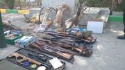 کشف سلاح و محموله غیر مجاز تاکسیدرمی در البرز