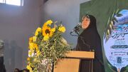 محمدبیگی: خشکسالی و کمبود صنایع فرآوری، زیتون‌کاران طارم را با مشکل مواجه کرده است