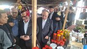 بازدید وزیر جهاد کشاورزی از سیاه‌چادرهای عشایری در حاشیه جشنواره ملی زیتون طارم