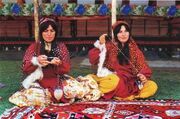 ۲۷۰۰ زن روستایی و عشایری برای ورود به بازارهای آنلاین آموزش می بینند