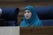 قانون حمل سلاح در مجلس اصلاح می‌شود