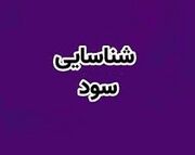 شناسایی سود 290.6 میلیاردی انبوه ساز بورسی از فروش 10 واحد مسکونی