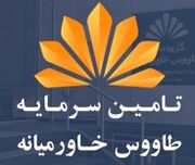 تأمین سرمایه طاووس خاورمیانه در آستانه درج و بازگشایی نماد قرار گرفت