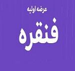 نوزدهمین عرضه اولیه با 9 درصد سهام فنقره در دو مرحله