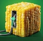فروش شهریور شگستر 3126 درصد جهش کرد و به 1.2 هزار میلیارد تومان رسید