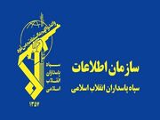 دستگیری سرشبکه وابسته به گروهک تروریست منافقین در اردبیل