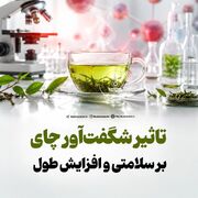 تاثیر شگفت‌آور چای بر سلامتی و افزایش طول عمر