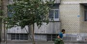 هشدار افزایش سرعت وزش باد در تهران