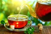هشدار درباره چای‌ فراوری‌شده؛توصیه به مصرف چای سنتی وتازه‌دم
