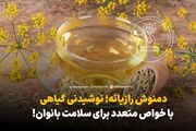 دمنوش رازیانه؛ نوشیدنی گیاهی باخواص متعدد برای سلامت بانوان!