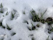 شدت سرما و یخبندان در کهگیلویه و بویراحمد افزایش می‌یابد