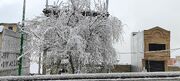 میزان بارش برف در ۱۹ نقطه کهگیلویه و بویراحمد اعلام شد