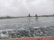 گشت فرهنگی ـ رسانه‌ای در تالاب بین‌المللی شادگان انجام شد