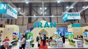 حضور موفق فعالان گردشگری، نویدبخش افق‌های تازه برای گردشگری ایران