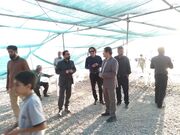 ‎بسیج تمامی ظرفیت‌های گردشگری استان سمنان برای میزبانی شایسته از زائران و عزاداران مراسم تشییع رهبر شهید