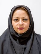 ثبت جهانی؛ افتخاری فراتر از یک عنوان