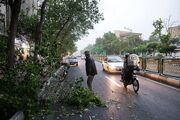 هشدار نسبت به وزش تندباد در تهران