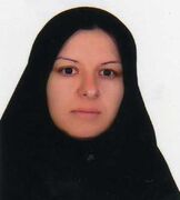 از آیین‌های کهن تا جشنواره‌های تابستانی