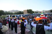 جشنواره محصولات کشاورزی همدان در تراز بین‌المللی برگزار شود 