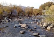 کاوه‌ده؛ روستایی در سایه اسطوره کاوه آهنگر و سرو کهنسال