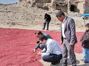 مشارکت مردم، محور معرفی و جهانی‌شدن روستای افین