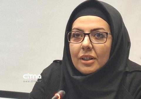 صنعت استراتژیک نرم‌افزار می‌تواند موجبات امنیت اقتصادی در کشور را فراهم آورد | سیتنا