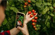 تنظیمات مخفی آیفون برای عکاسی حرفه ای