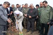 آئین جشن روز درختکاری در موزه دفاع مقدس و مقاومت مازندران برگزار شد