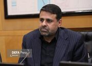 نادری: دولت باید سیاست‌گذاری‌های منسجمی را برای ثبات بازار انجام دهد