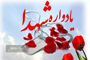 برگزاری اولین سالگرد شهادت شهید «کامرانی» در آمل