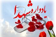 برگزاری سی و یکمین یادواره ۱۵۵ شهید بخش دودانگه ساری