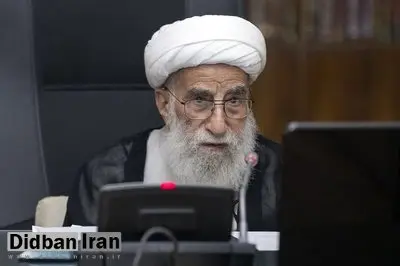 آیت الله جنتی: نگاه تمدن غرب به زنان استثماری است