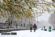 سرمای هوای تهران ادامه دارد