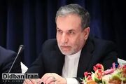 عراقچی: برخی دوست داشتند دیدار با ماسک رخ داده باشد