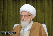 آیت‌الله نوری همدانی: عده‌ای غیرمنصفانه درباره شهید رئیسی صحبت می‌کنند