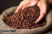 قیمت جهانی قهوه یک رکورد جهانی زده است/ از سال ۱۹۷۷، چنین افزایشی نداشتیم