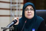 سخنگوی دولت درباره سند همکاری جامع ایران و روسیه: نمی‌خواهیم ترکمانچای دیگری بنویسیم/ برای ارتباط با غرب مشکلی نداریم/ ایران همواره اهل مذاکره است