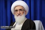 آیت‌الله نوری همدانی: دشمنان اسلام در حال عقب نشینی هستند