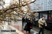 توده هوای سرد در تهران ماندگار است