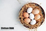 فواید معجزه‌آسای تخم مرغ برای پوست و مو