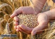 تحقیق و تفحص مسیر اصلاحات در زنجیره تأمین نهاده‌ها را هموار می‌کند