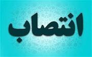 اسلام محمدی گیگلو مدیرعامل سازمان منطقه آزاد اردبیل شد