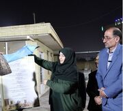 بهره‌برداری 10 طرح محیط‌ زیستی در یزد با حضور رئیس سازمان حفاظت محیط زیست