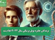 برندگان جایزه نوبل پزشکی سال ۲۰۲۴ اعلام شد - اکونیوز