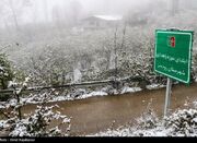 هواشناسی ایران۱۴۰۳/۸/۱۳؛بارش باران وبرف در ۲۴ استان - اکونیوز