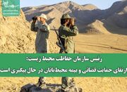 رئیس سازمان حفاظت محیط زیست: ارتقای حمایت قضائی و بیمه محیط‌... -