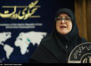 تاکید سخنگوی دولت بر تغییر رویکرد برای حفاظت از هیرکانی در د... -